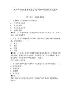 2026年湖南藝術職業學院單招職業技能測試題庫及答案詳解（新）