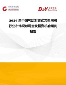 2026年中國氣動(dòng)對夾式刀型閘閥行業(yè)市場現(xiàn)狀調(diào)查及投資機(jī)會(huì)研判報(bào)告