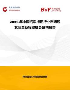 2026年中國汽車拖把行業(yè)市場現(xiàn)狀調(diào)查及投資機(jī)會(huì)研判報(bào)告