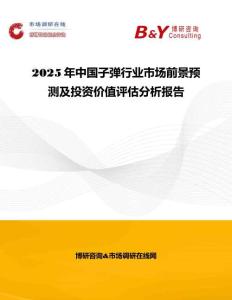 2025年中國子彈行業(yè)市場前景預(yù)測及投資價值評估分析報告