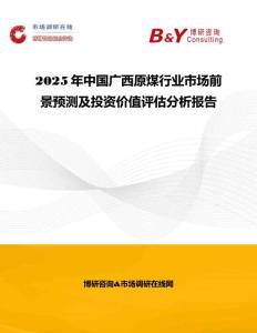 2025年中國廣西原煤行業(yè)市場前景預測及投資價值評估分析報告
