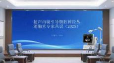 超声内镜引导腹腔神经丛消融术专家共识（2025）