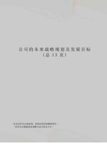 公司的未來戰略規劃及發展目標
