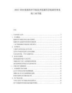 2025-2030能源效率節(jié)能技術低碳經濟能源管理系統(tǒng)工業(yè)節(jié)能