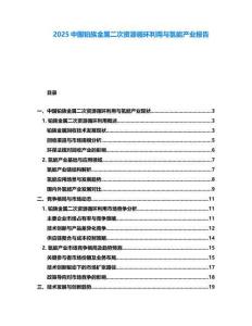 2025中國鉑族金屬二次資源循環利用與氫能產業報告
