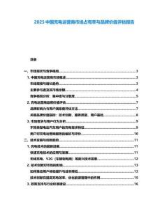 2025中国充电运营商市场占有率与品牌价值评估报告
