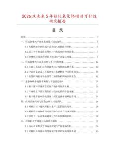 2026及未來5年粒狀氧化鈣項目可行性研究報告