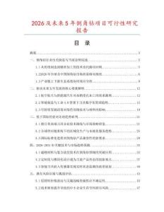 2026及未來5年倒角鉆項目可行性研究報告
