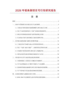2026年鋁條刷項目可行性研究報告