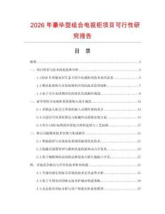 2026年豪華型組合電視柜項目可行性研究報告