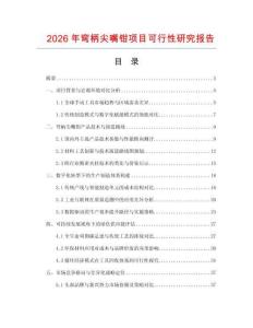 2026年彎柄尖嘴鉗項(xiàng)目可行性研究報(bào)告