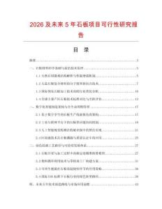 2026及未來5年石板項目可行性研究報告