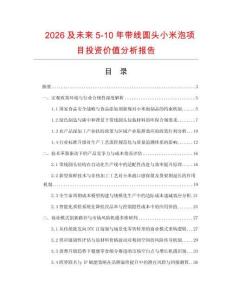 2026及未来5-10年带线圆头小米泡项目投资价值分析报告