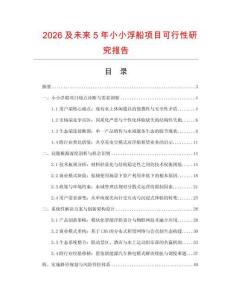 2026及未來5年小小浮船項目可行性研究報告