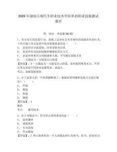 2026年湖南吉利汽車職業技術學院單招職業技能測試題庫含答案詳解（典型題）