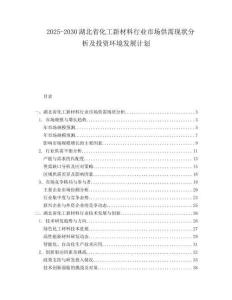 2025-2030湖北省化工新材料行業市場供需現狀分析及投資環境發展計劃