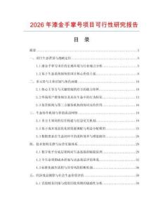 2026年漆金手掌号项目可行性研究报告