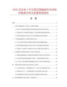 2026及未來5年中國毛網植絨布市場現狀數據分析及前景預測報告