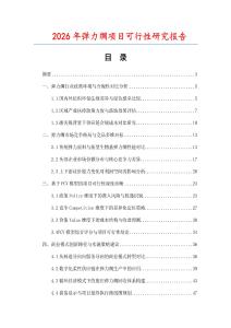 2026年弹力绸项目可行性研究报告