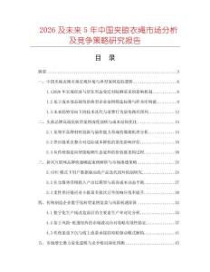 2026及未來5年中國夾晾衣繩市場分析及競爭策略研究報告