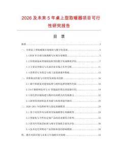 2026及未來5年桌上型取暖器項目可行性研究報告