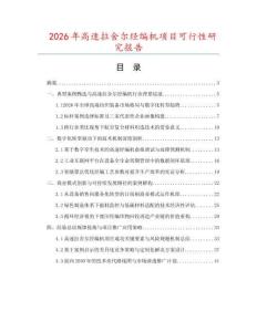 2026年高速拉舍尔经编机项目可行性研究报告