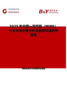 2025年中國一異丙胺（MIPA）行業市場全景分析及前景機遇研判報告
