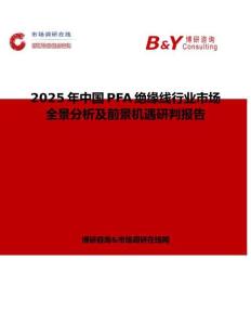 2025年中國PFA絕緣線行業(yè)市場全景分析及前景機遇研判報告