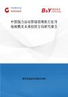 中國強力自動管道清理機行業市場規模及未來投資方向研究報告