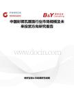 中國彩鋼瓦屋面行業(yè)市場規(guī)模及未來投資方向研究報告