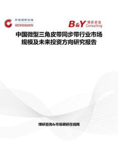 中国微型三角皮带同步带行业市场规模及未来投资方向研究报告