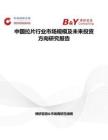 中國拉片行業(yè)市場規(guī)模及未來投資方向研究報告