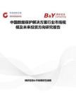 中國數據保護解決方案行業市場規模及未來投資方向研究報告