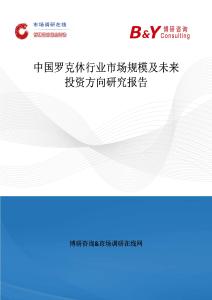 中國(guó)羅克休行業(yè)市場(chǎng)規(guī)模及未來(lái)投資方向研究報(bào)告