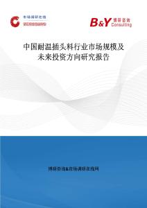 中國耐溫插頭料行業(yè)市場規(guī)模及未來投資方向研究報告