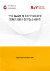 中國WebGL預覽行業市場前景預測及投資價值評估分析報告