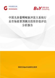 中國(guó)光參量啁啾脈沖放大系統(tǒng)行業(yè)市場(chǎng)前景預(yù)測(cè)及投資價(jià)值評(píng)估分析報(bào)告