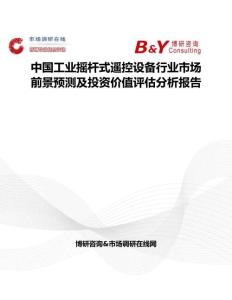 中国工业摇杆式遥控设备行业市场前景预测及投资价值评估分析报告