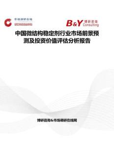中國微結構穩(wěn)定劑行業(yè)市場前景預測及投資價值評估分析報告