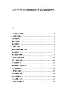 2025-2030湖南醫療廢物安全處置行業運營監管研究