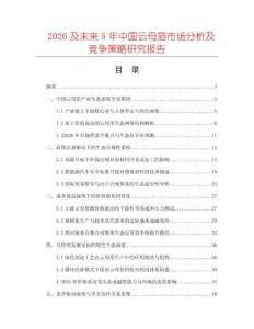 2026及未來5年中國云母箔市場分析及競爭策略研究報告