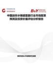 中國迷你水錘避雷器行業市場前景預測及投資價值評估分析報告