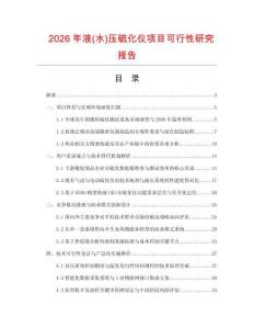 2026年液(水)壓硫化儀項目可行性研究報告