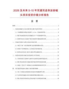 2026及未來5-10年雙道雙跡錄放音磁頭項目投資價值分析報告