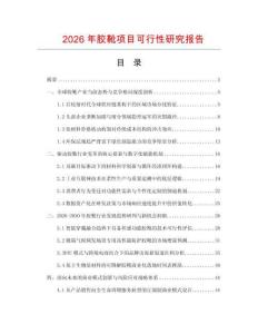 2026年膠靴項目可行性研究報告