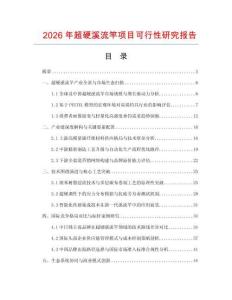 2026年超硬溪流竿项目可行性研究报告