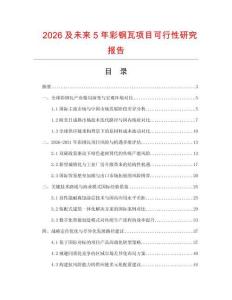 2026及未來(lái)5年彩鋼瓦項(xiàng)目可行性研究報(bào)告
