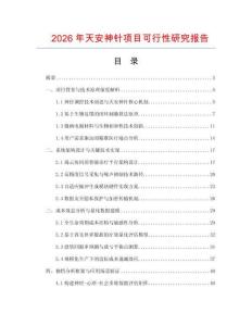 2026年天安神針項目可行性研究報告