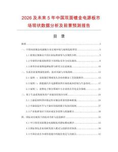 2026及未來5年中國雙面鍍金電源板市場現(xiàn)狀數(shù)據(jù)分析及前景預測報告