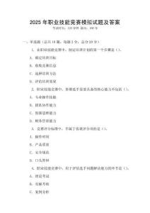 2025年職業(yè)技能競賽模擬試題及答案
